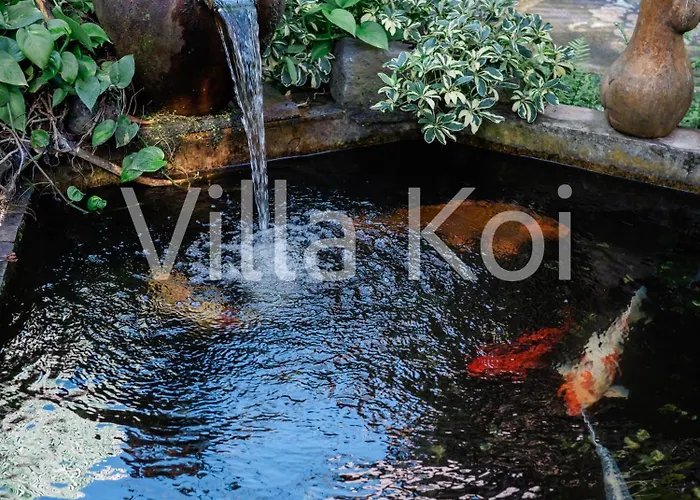 ゲストハウス Koi ケラマス