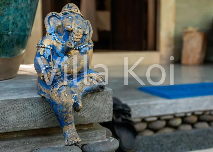 Koi 4*